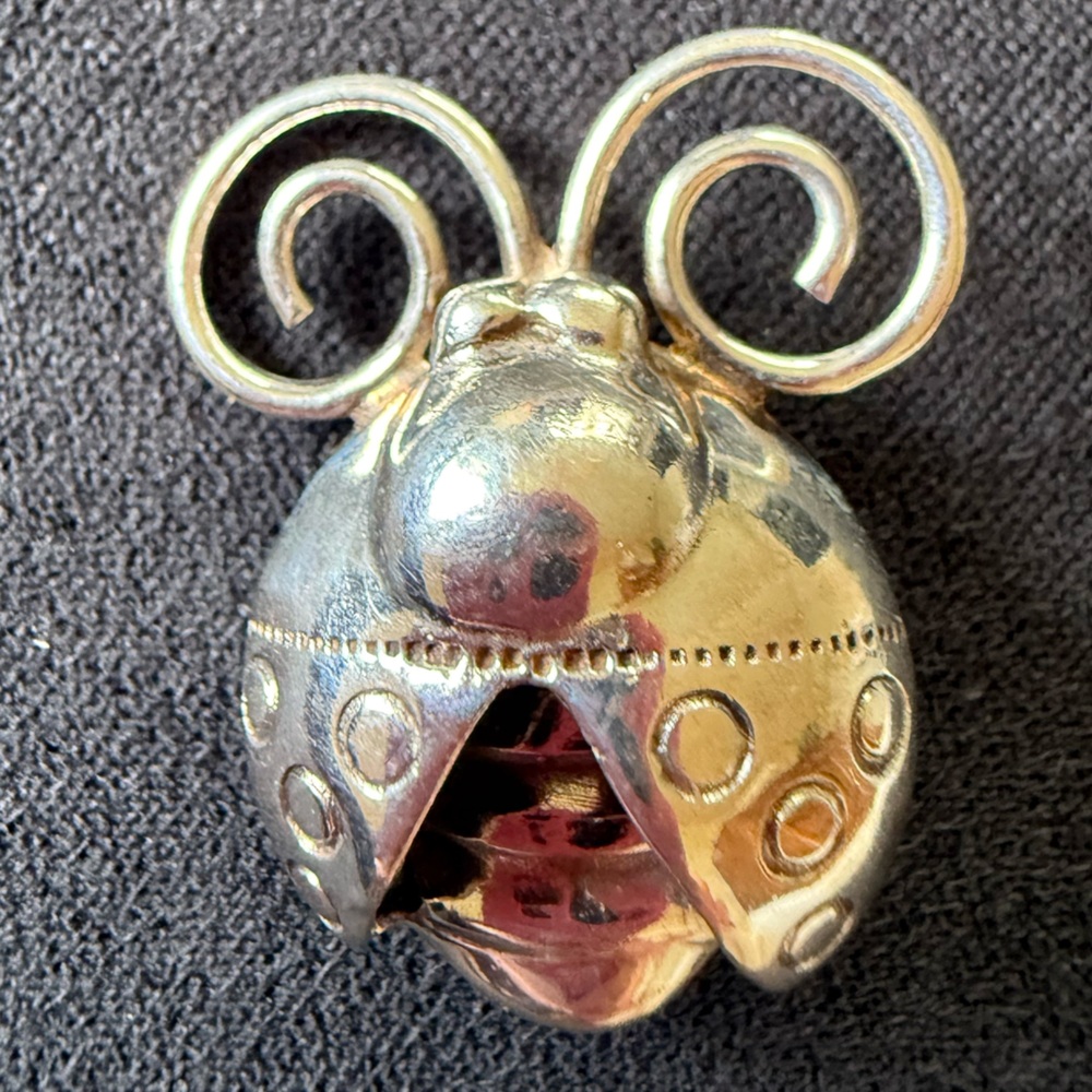 Silpada Ladybug Pin
